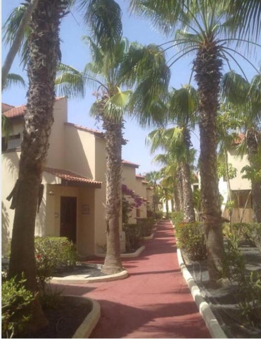 Relax A 10 Minuti Da Corralejo Villa Parque Holandes Exterior photo